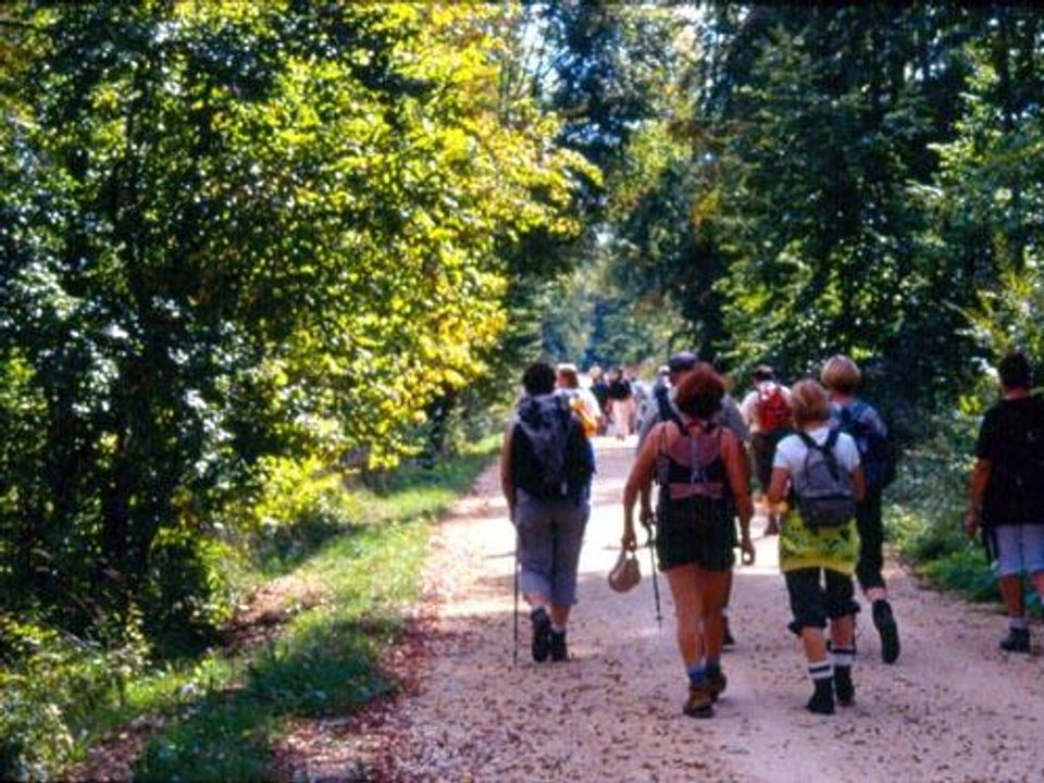 France - Rhône - Saint Bonnet le Château - Camping De La Belle Etoile, 3*