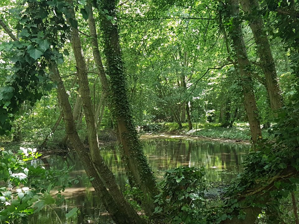 France - Ile de France - Saint Chéron - Camping Le Parc des Roches, 3*