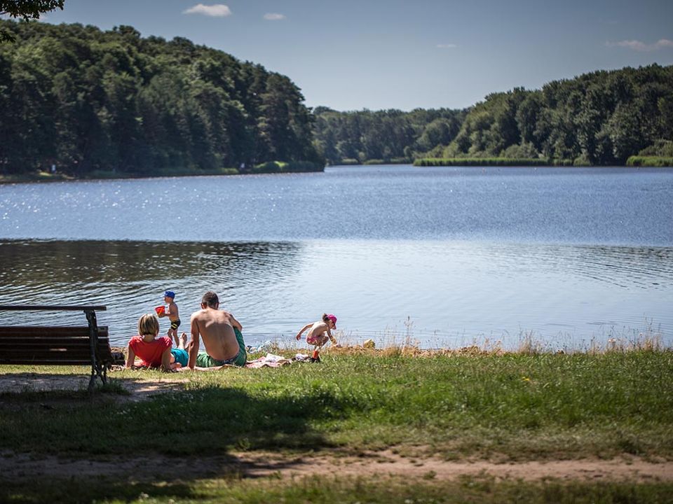 France - Auvergne - Saint Bonnet Tronçais - Camping Champ Fosse, 3*