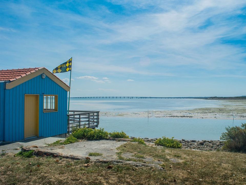 France - Atlantique Nord - Ile d'Oléron - Camping Signol 5*