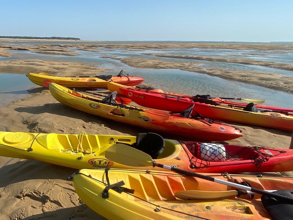 France - Atlantique Nord - Ile d'Oléron - Camping Signol 5*