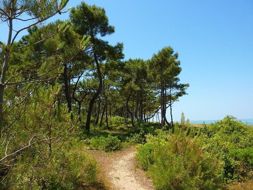 France - Atlantique Nord - Ile d'Oléron - Camping Le Suroit 4*