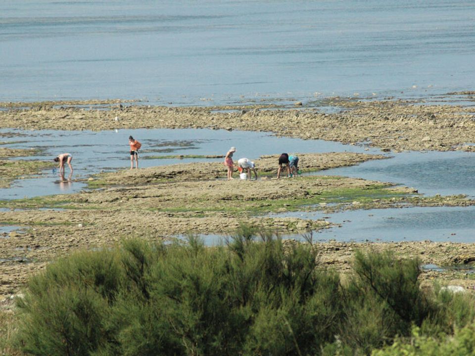 France - Atlantique Nord - Ile d'Oléron - Camping Le Suroit 4*