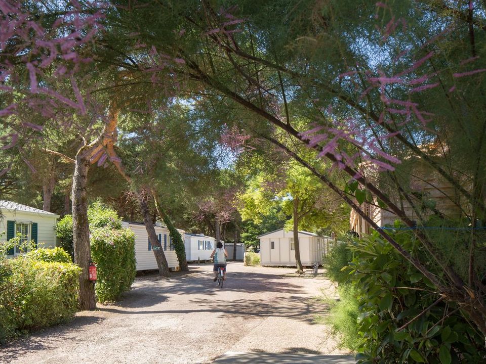 France - Atlantique Nord - Ile d'Oléron - Camping Le Suroit 4*