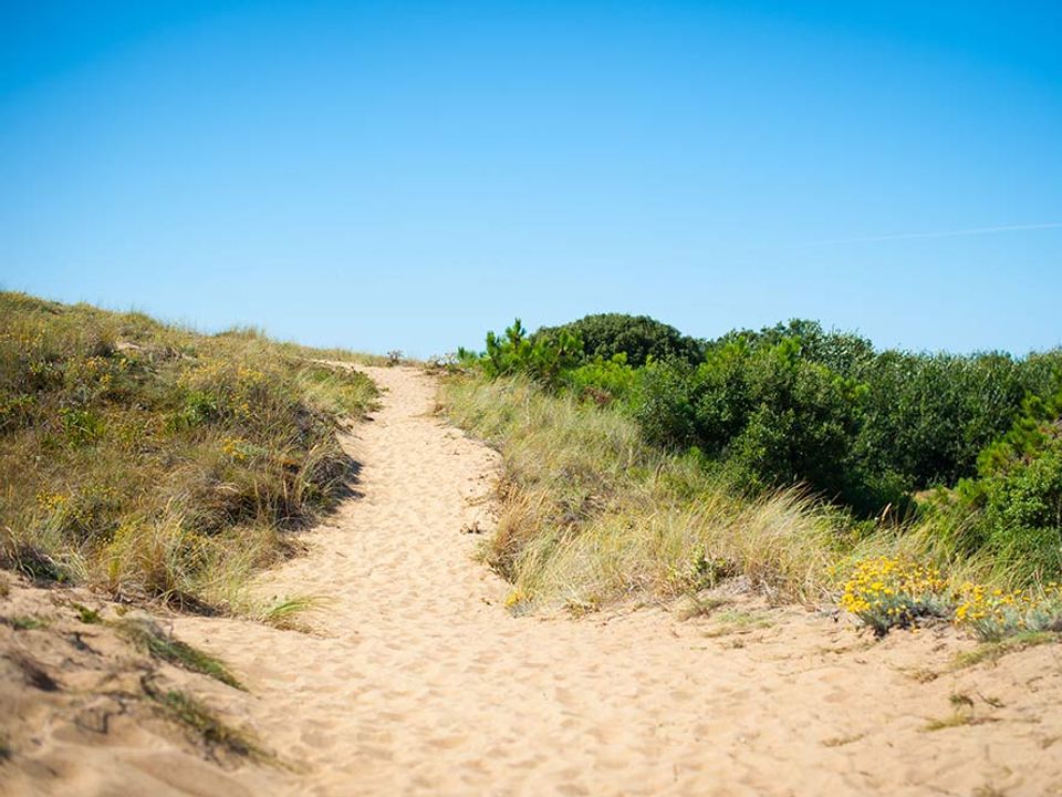 France - Atlantique Nord - Saint Gilles Croix de Vie - Camping Les Cyprès 3*