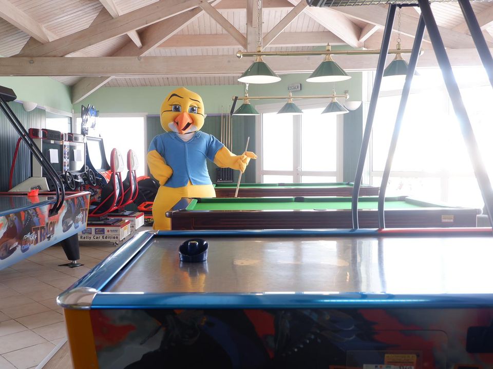 Camping Paradis - Sol a Gogo, 4* - 19