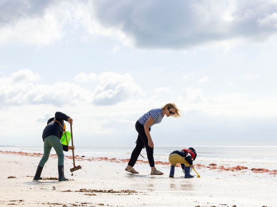 France - Atlantique Nord - Saint Jean de Monts - Flower Camping La Davière Plage, 4*