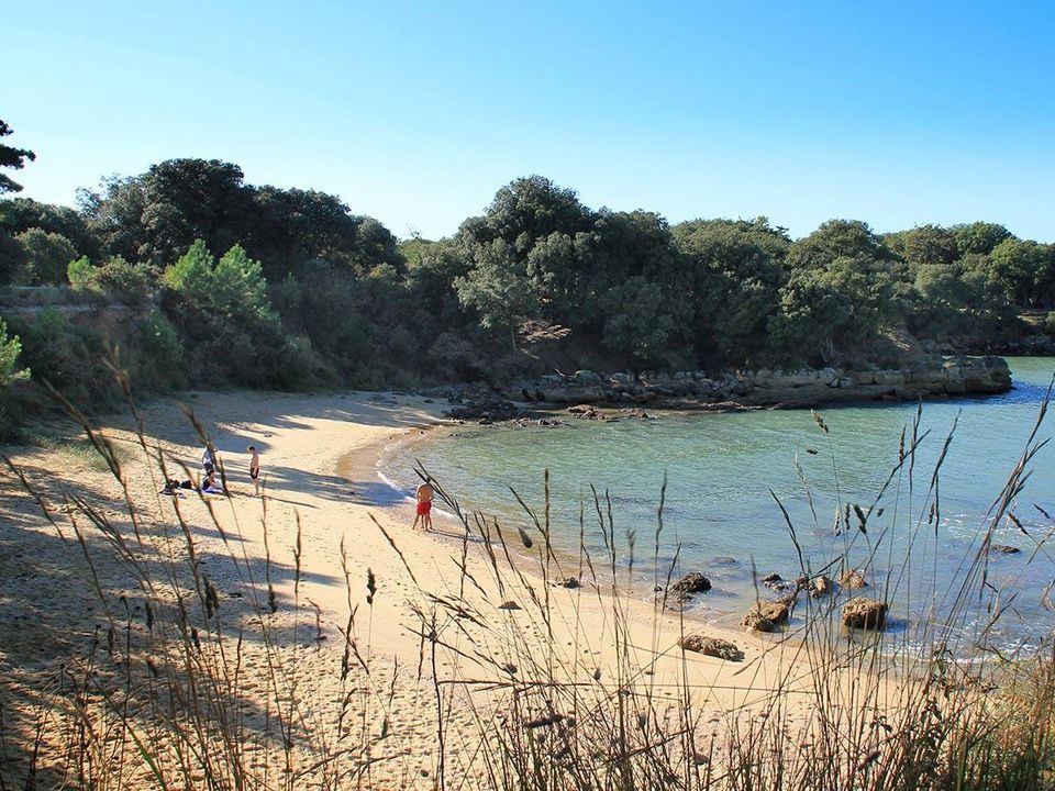 France - Atlantique Nord - Saint Laurent de la Prée - Camping Domaine Les Charmilles, 4*