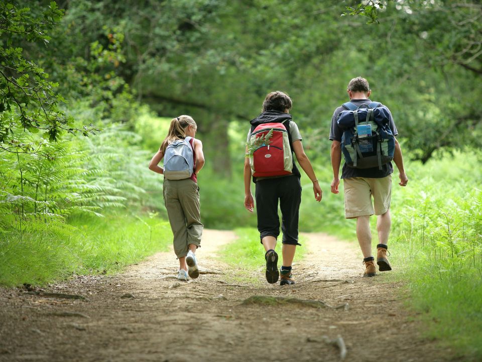 France - Poitou Loire - Saint Mandé sur Brédoire - Camping Le Lizot 3*