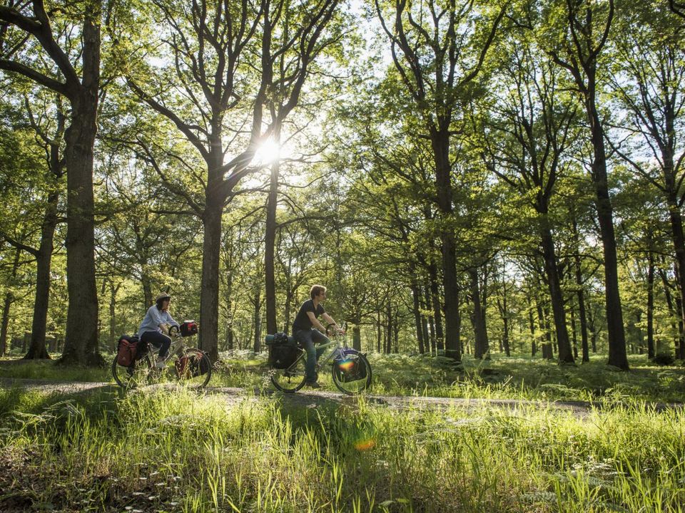 France - Poitou Loire - Saint Mandé sur Brédoire - Camping Le Lizot 3*