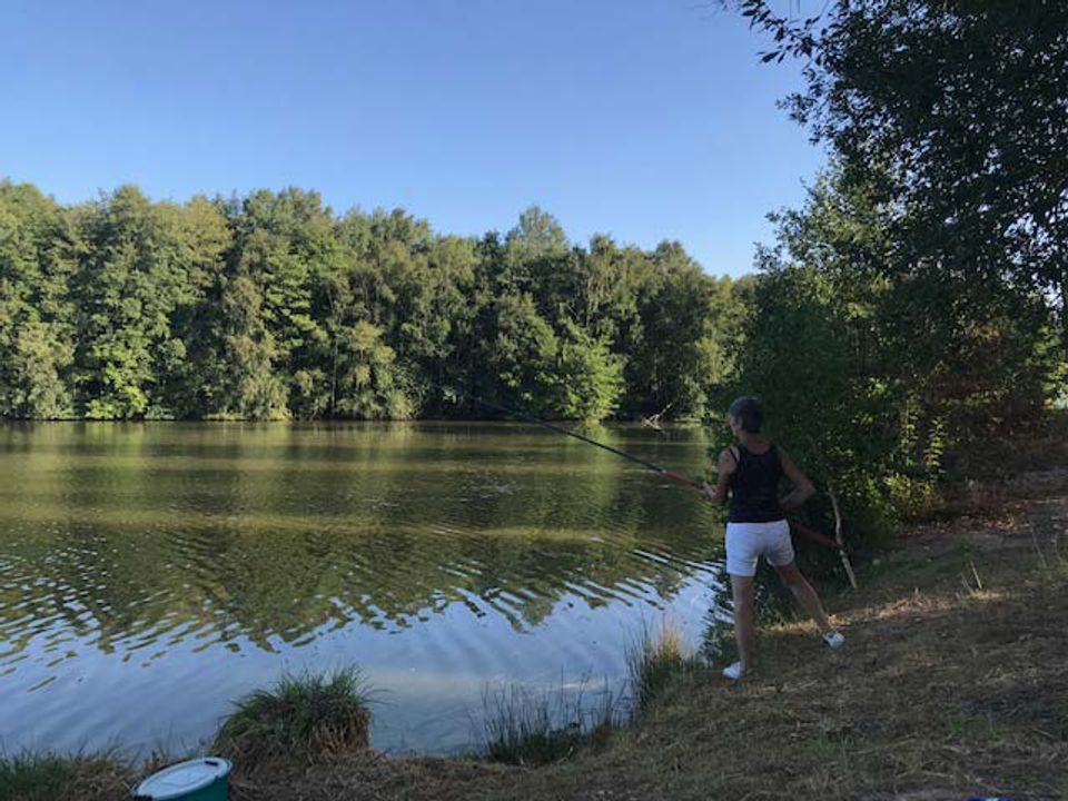 France - Bourgogne Franche Comté - Saint Sauveur en Puisaye - Camping Parc des Joumiers, 3*