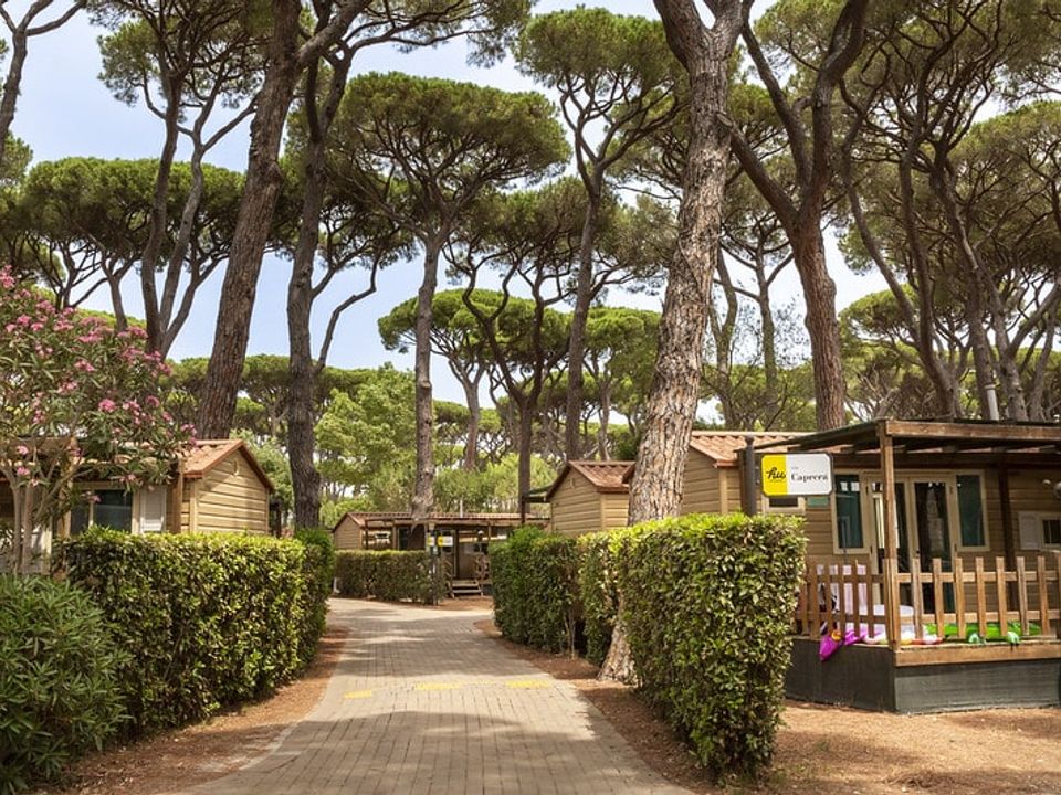 Italie - Toscane - San Vincenzo - Camping Hu Park Albatros Village, 4*