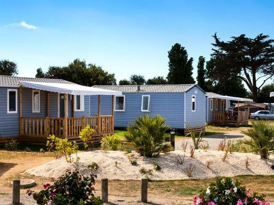 France - Bretagne - Sarzeau - Camping Le Saint Jacques, 4*