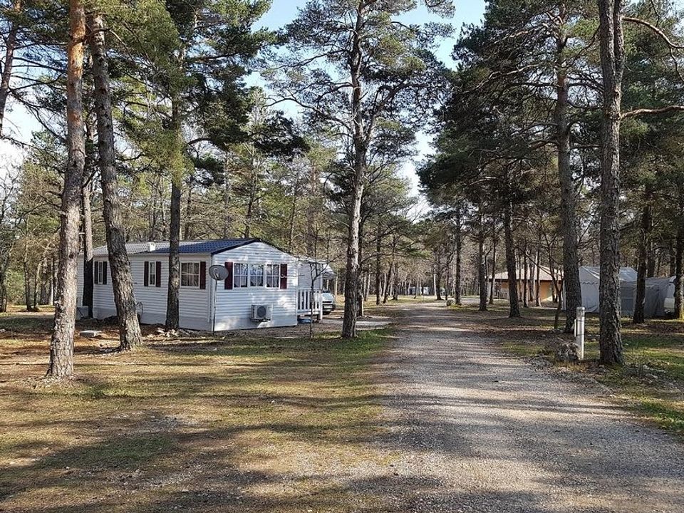 France - Sud Est et Provence - Sault - Camping Du Défends