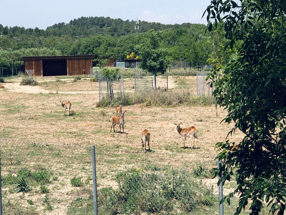 France - Méditerranée Ouest - Sigean - Camping La Grange Neuve 3*