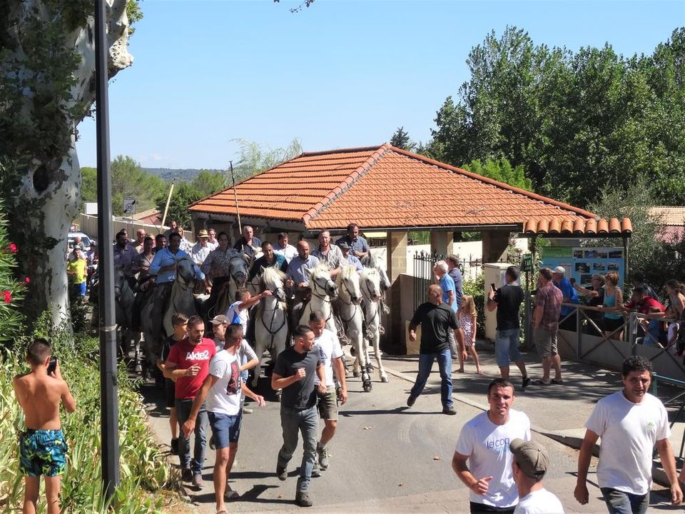 France - Languedoc - Souvignargues - Camping le Pré Saint André 3*