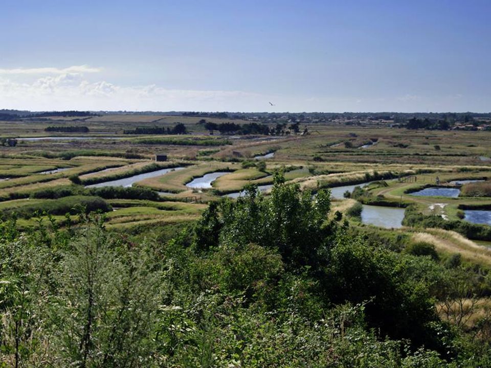 Campsite Les Dunes - Photo 2