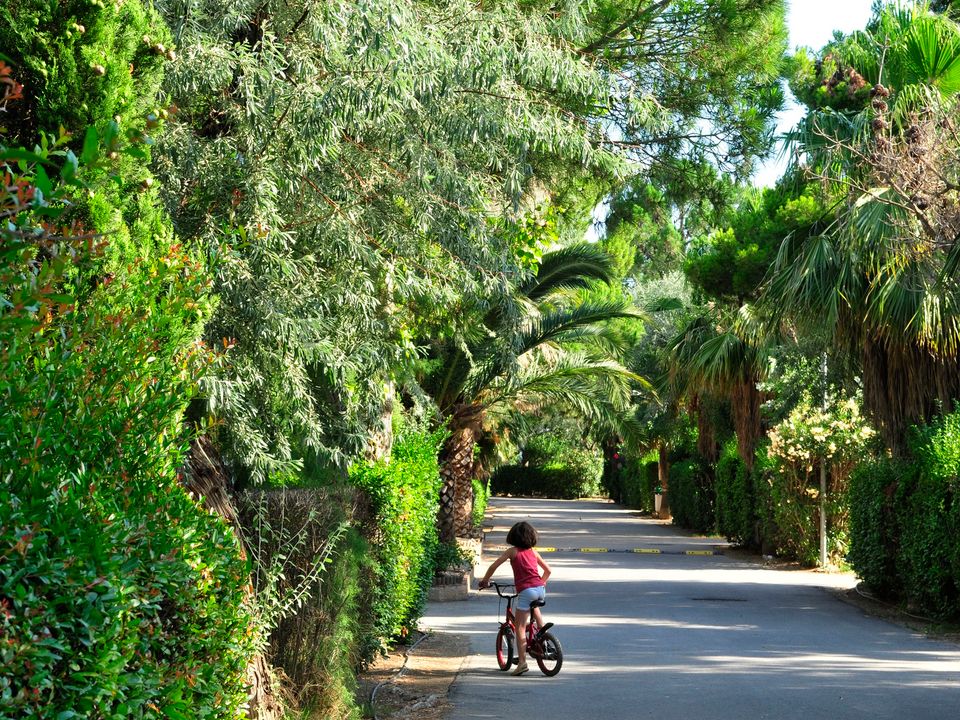 France - Méditerranée Ouest - Torreilles - Camping La Palmeraie, 4*