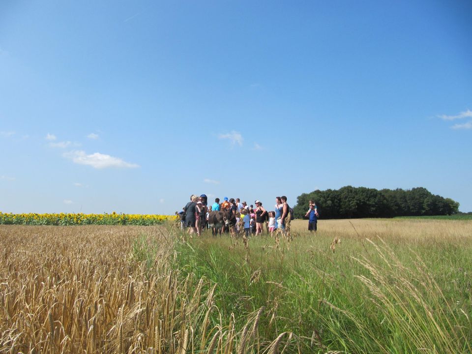 France - Centre - Seillac - Camping Ferme Pédagogique de Prunay, 4*