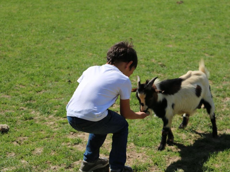 France - Centre - Seillac - Camping Ferme Pédagogique de Prunay, 4*