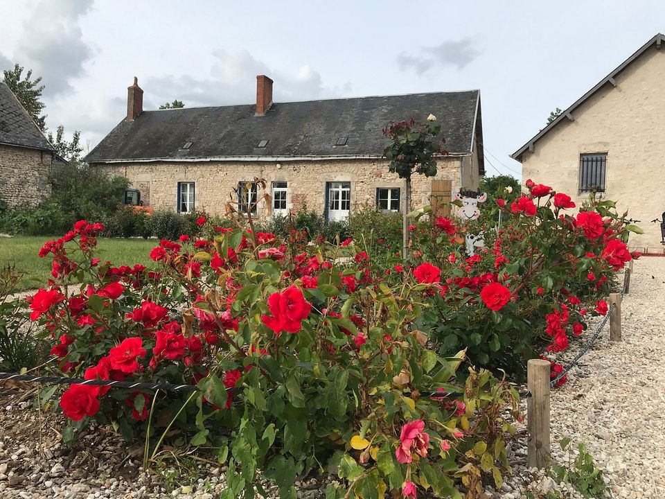 France - Centre - Seillac - Camping Ferme Pédagogique de Prunay, 4*