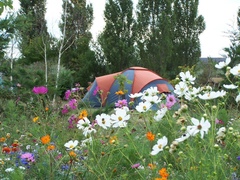 France - Centre - Seillac - Camping Ferme Pédagogique de Prunay, 4*