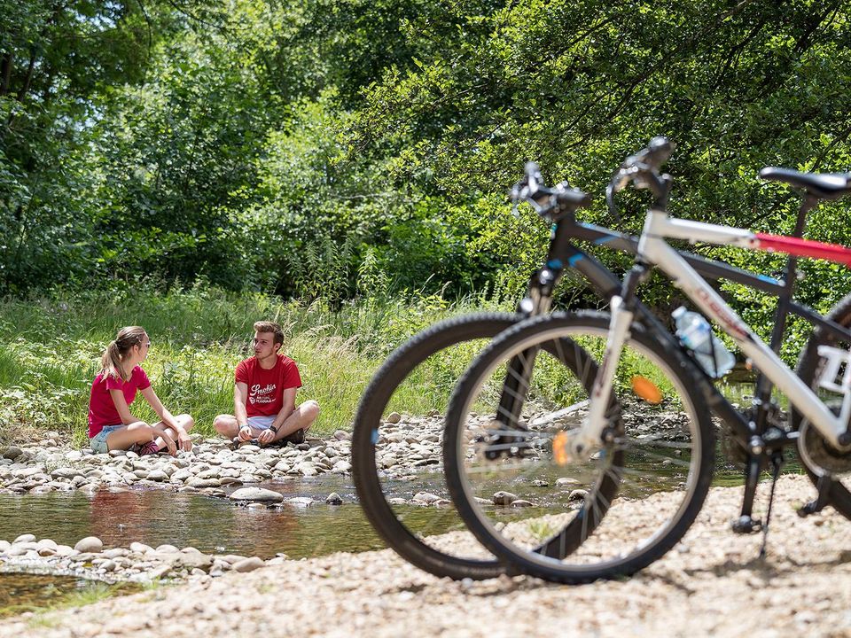 France - Rhône - Vernioz - Camping Le Bontemps 4*