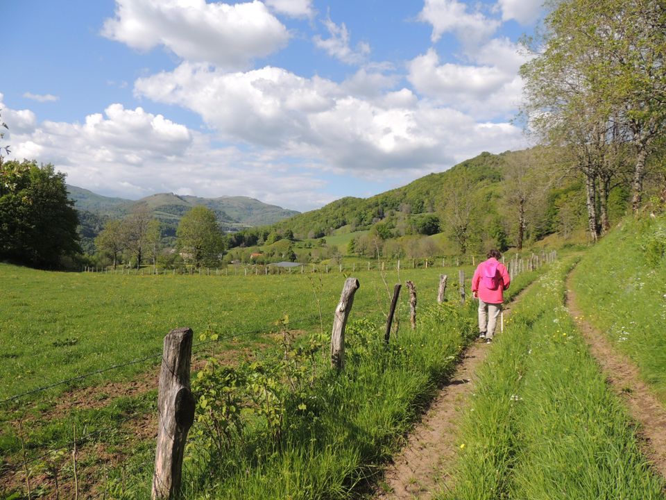 France - Auvergne - Vic sur Cère - Camping Pommeraie, 4*