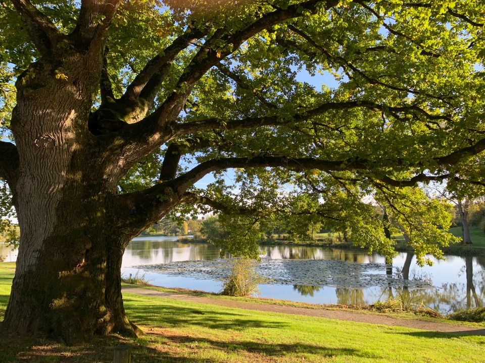 France - Poitou Loire - Verruyes - Camping Côté Lac 3*