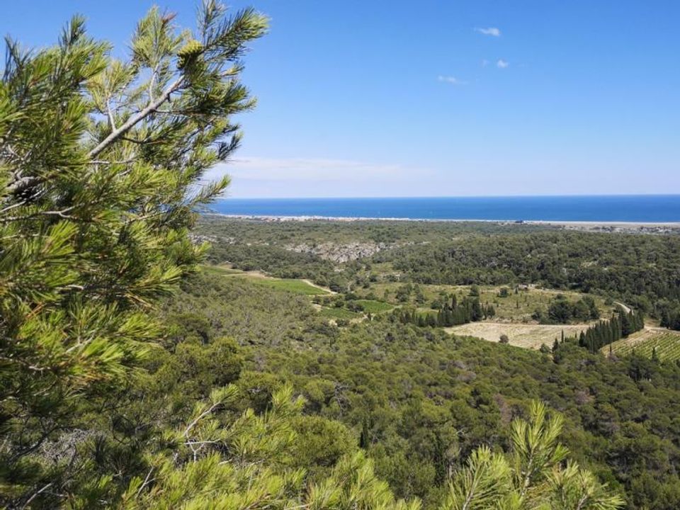 France - Méditerranée Ouest - Narbonne Plage - Camping Paradis Soleil d'Oc, 4*