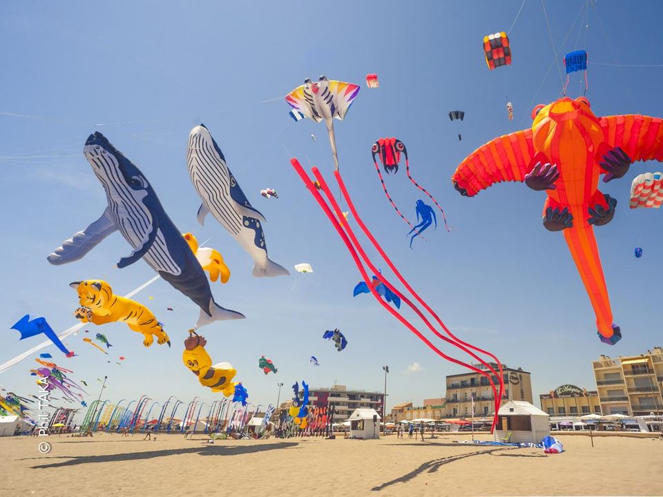 France - Méditerranée Ouest - Narbonne Plage - Camping Paradis Soleil d'Oc, 4*