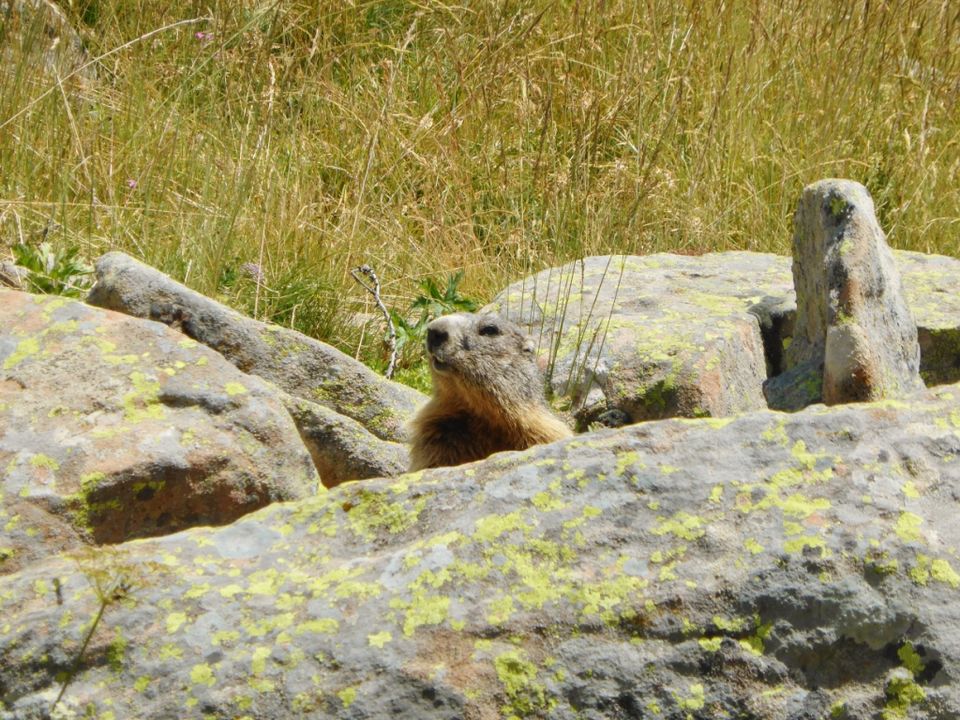 Camping Lou Gourdan Provence-Alpes-Côte d'Azur - Puget-Théniers visuel 9/10