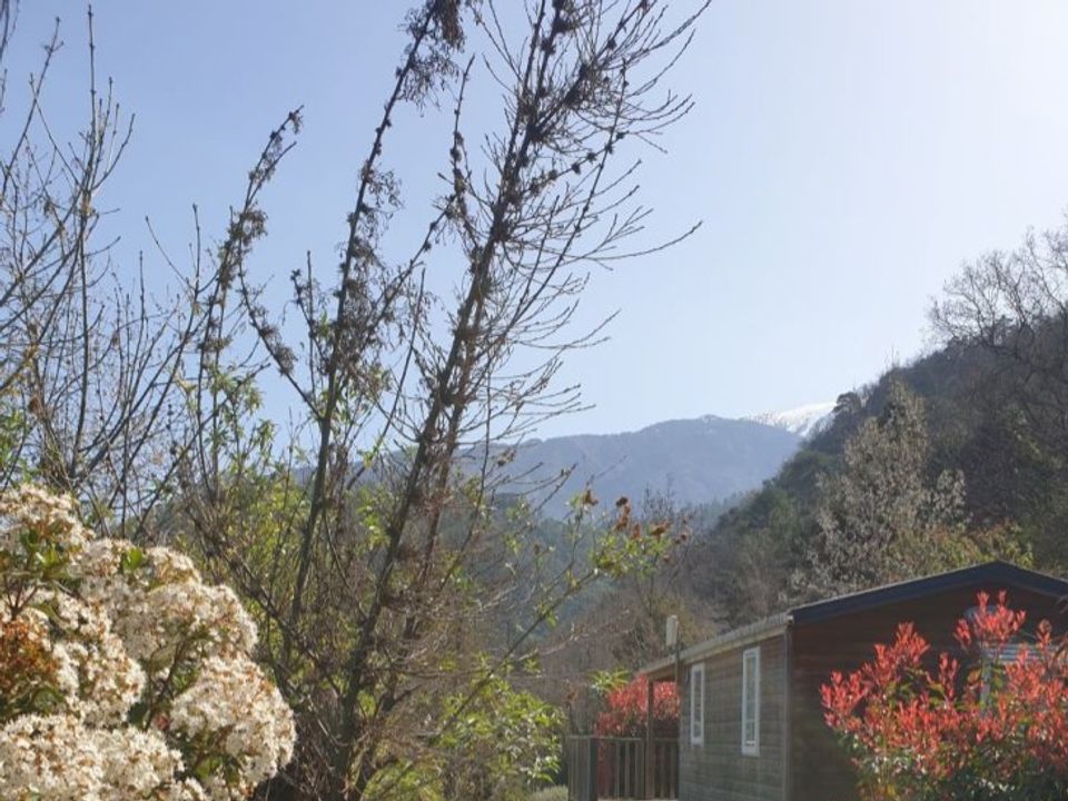 France - Pyrénées - Vernet les Bains - Camping Les Cerisiers, 2*