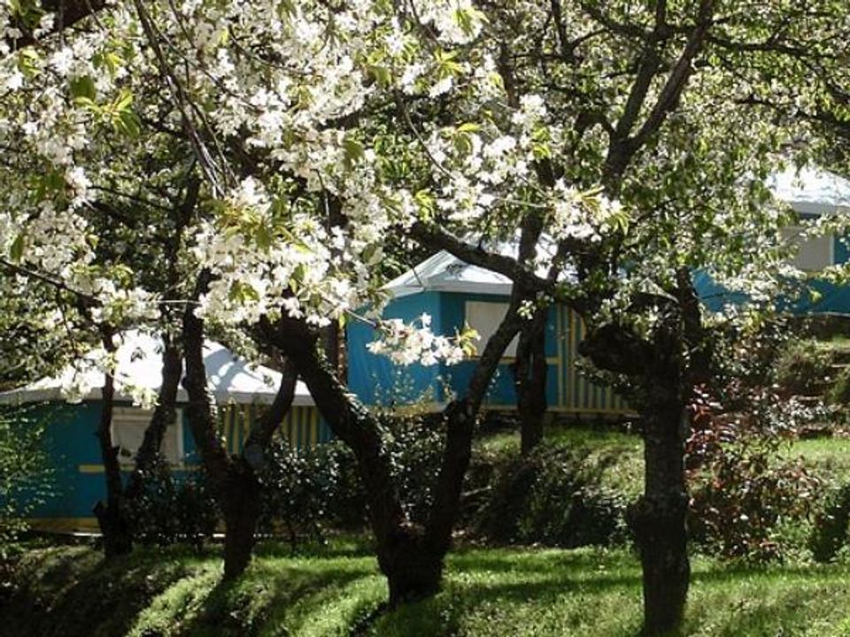 France - Pyrénées - Vernet les Bains - Camping Les Cerisiers, 2*