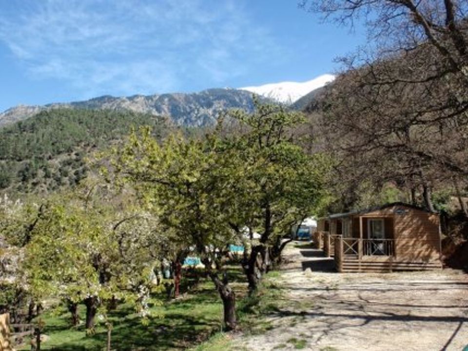 France - Pyrénées - Vernet les Bains - Camping Les Cerisiers, 2*