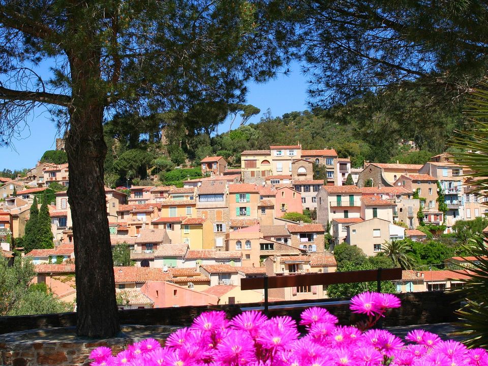 France - Côte d'Azur - Bormes les Mimosas - Camping Le Parc de Bormes, 2*