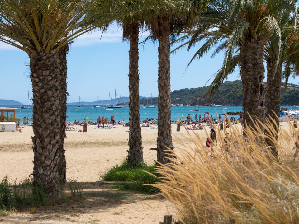 France - Côte d'Azur - Bormes les Mimosas - Camping Le Parc de Bormes, 2*