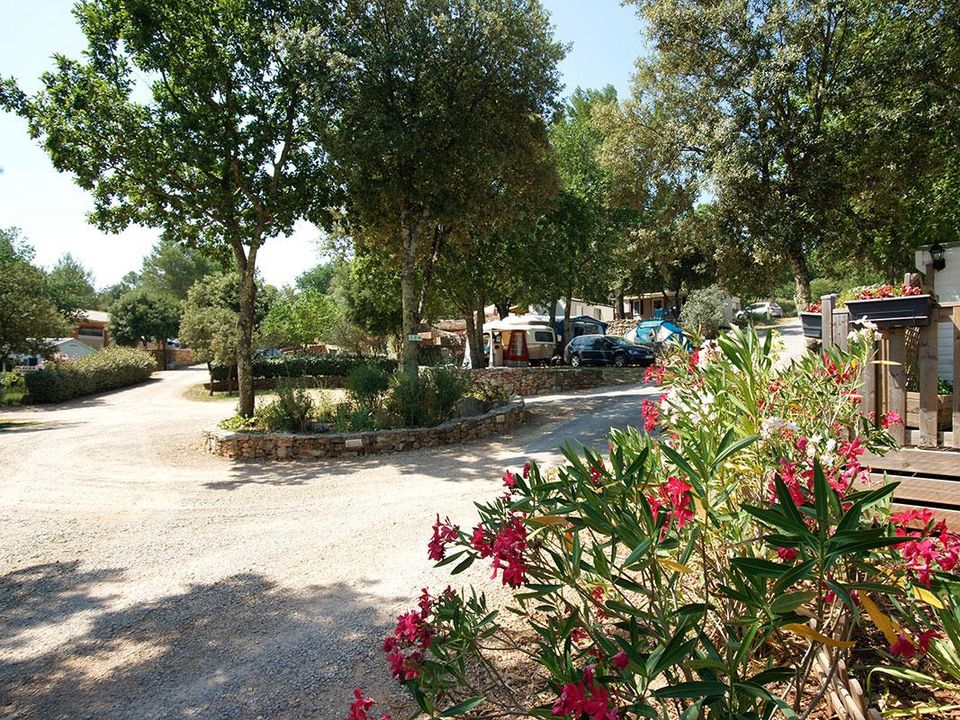 France - Sud Est et Provence - Cannet des Maures - Camping Domaine De La Cigaliere 4*