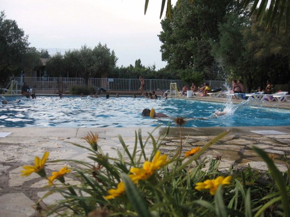 France - Languedoc - Laurens - Camping L'oliveraie, 3*