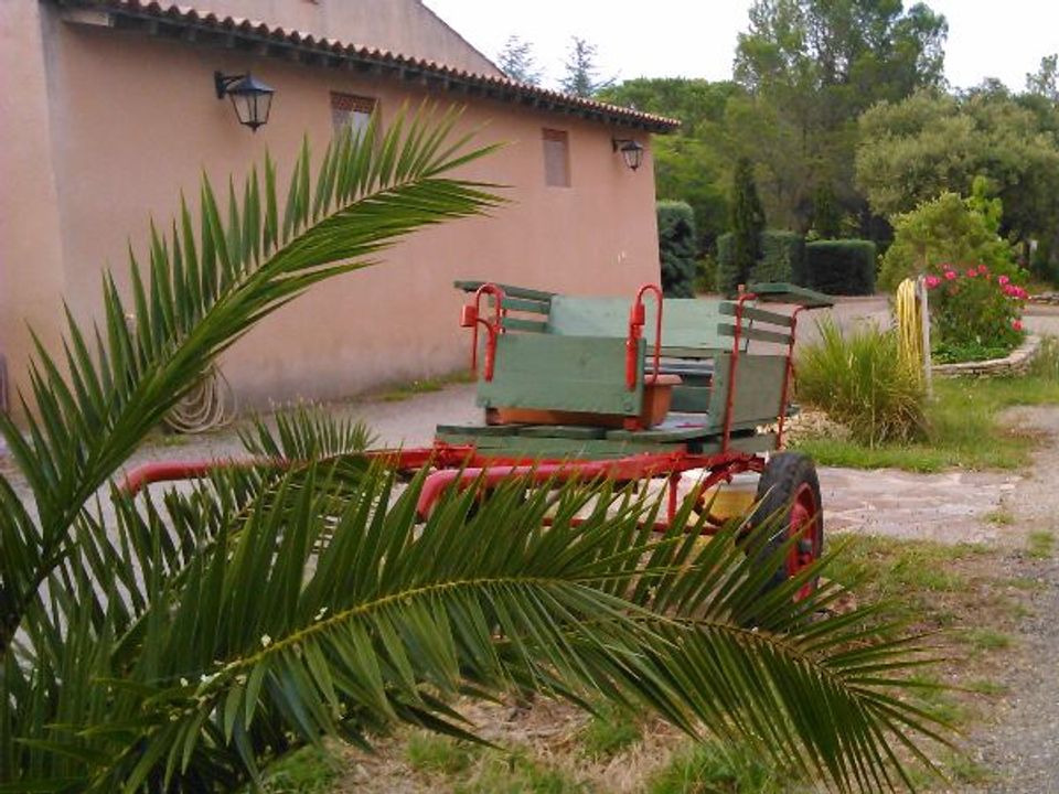 France - Languedoc - Laurens - Camping L'oliveraie, 3*