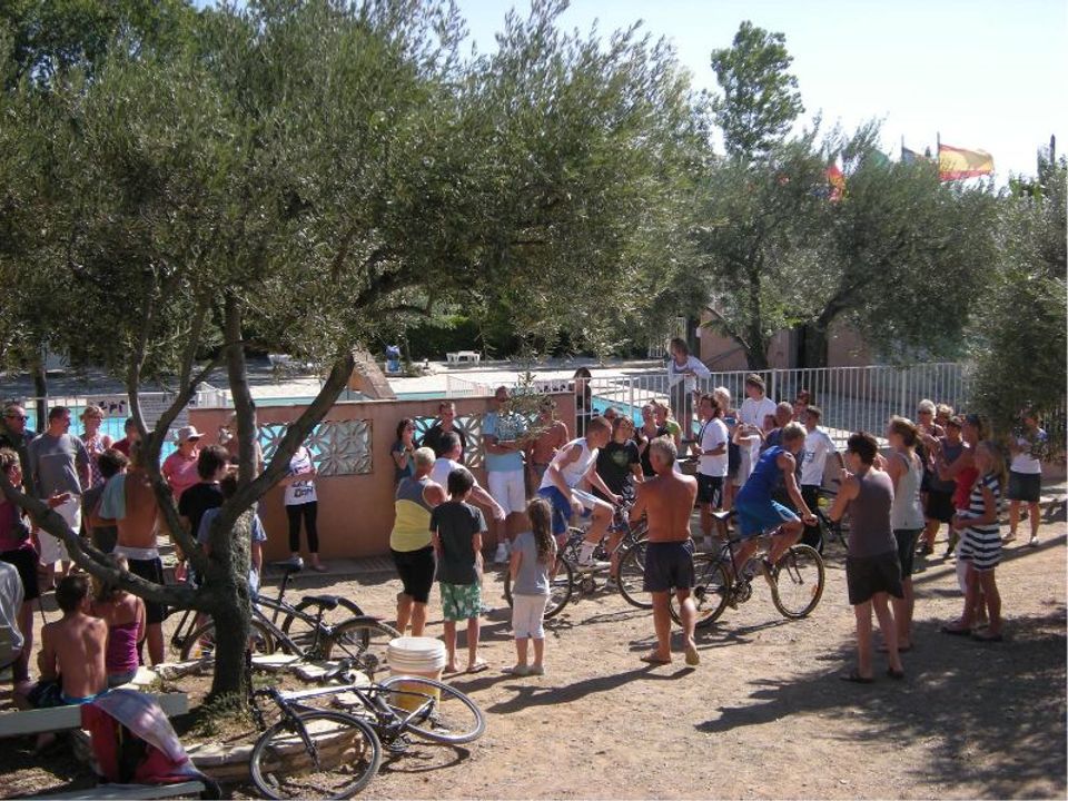 France - Languedoc - Laurens - Camping L'oliveraie, 3*