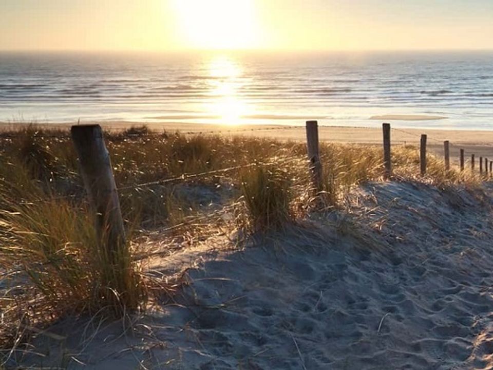 France - Méditerranée Ouest - Lansargues - Flower Camping Le Fou du Roi 3*