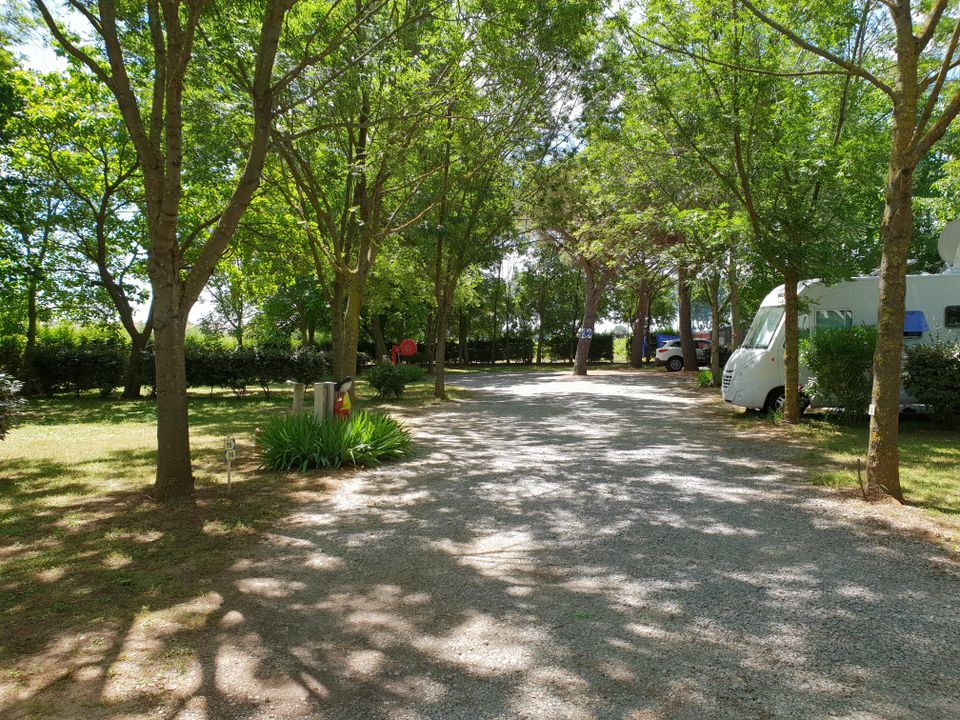 France - Méditerranée Ouest - Lansargues - Flower Camping Le Fou du Roi 3*