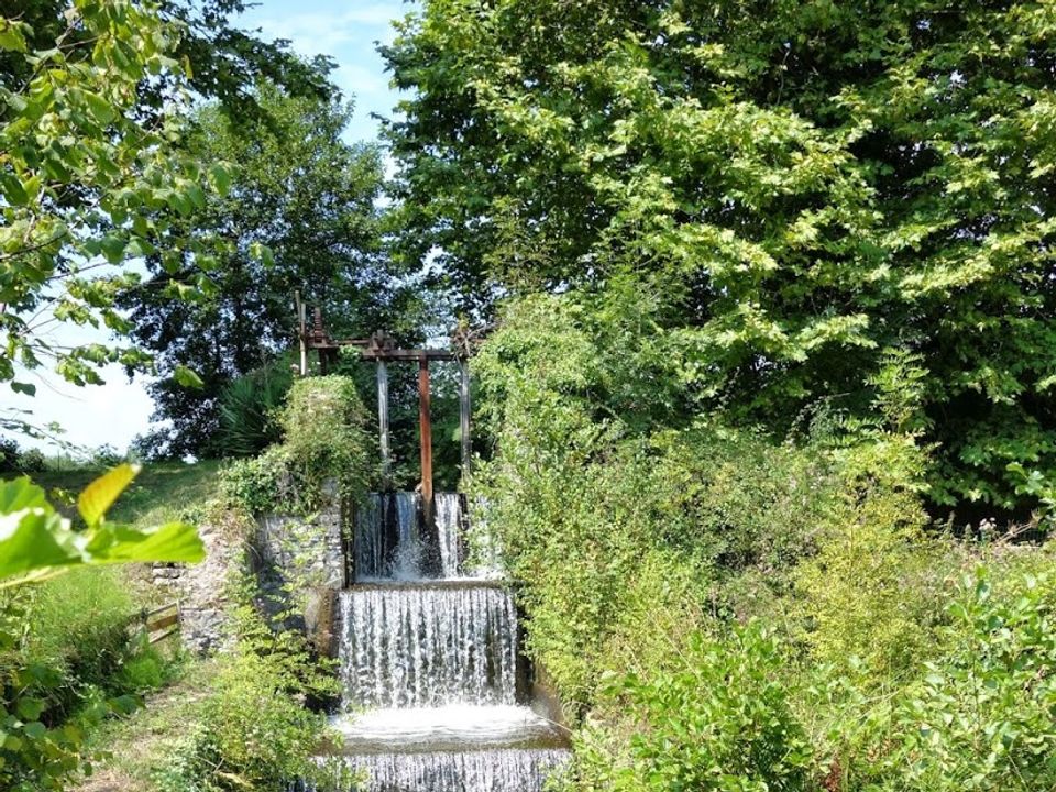 Camping L'Etang d'Ardy à DAX, tarifs et réservations