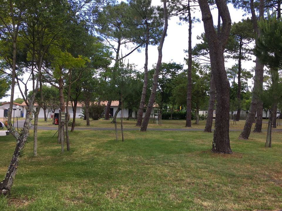 Camping Paradis Albret - Aquitaine - Messanges visuel 9/10