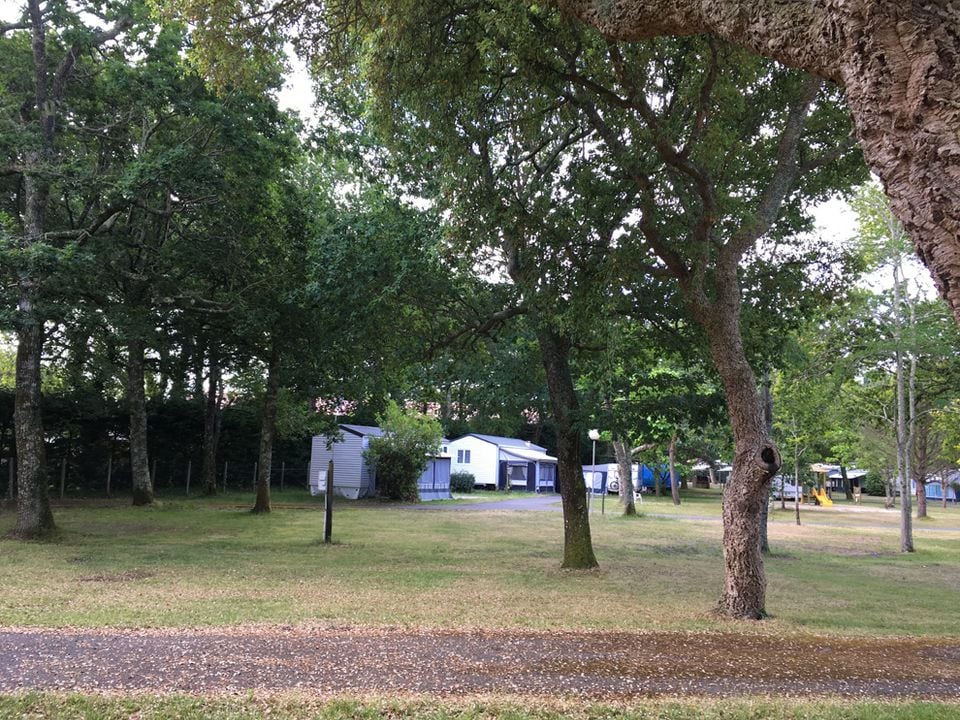 Camping Paradis Albret - Aquitaine - Messanges visuel 3/10