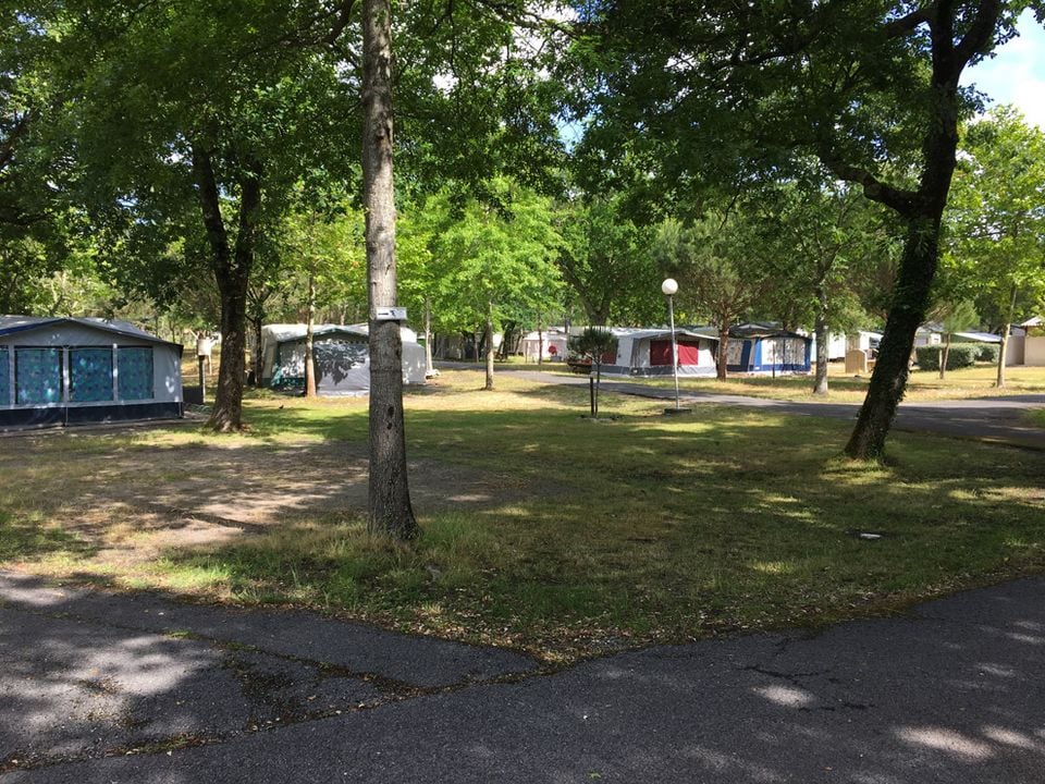 Camping Paradis Albret - Aquitaine - Messanges visuel 5/10