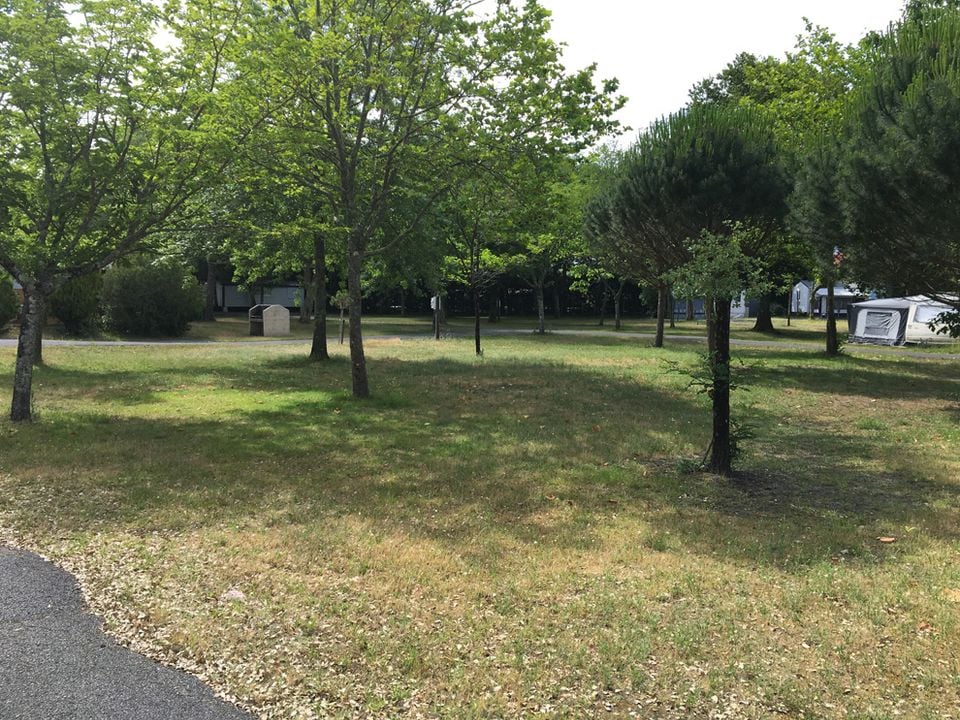 Camping Paradis Albret - Aquitaine - Messanges visuel 4/10