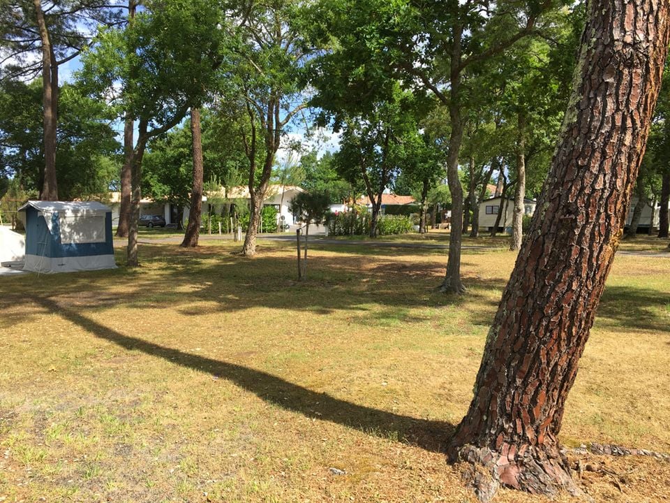 Camping Paradis Albret - Aquitaine - Messanges visuel 8/10