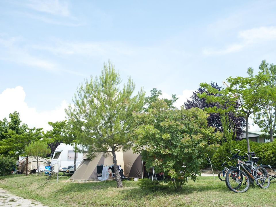 France - Sud Est et Provence - Forcalquier - Camping Forcalquier 3*